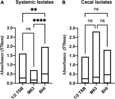 Biofilm Formation and Antimicrobial Susceptibility of E. coli Associated With Colibacillosis Outbreaks in Broiler Chickens From Saskatchewan